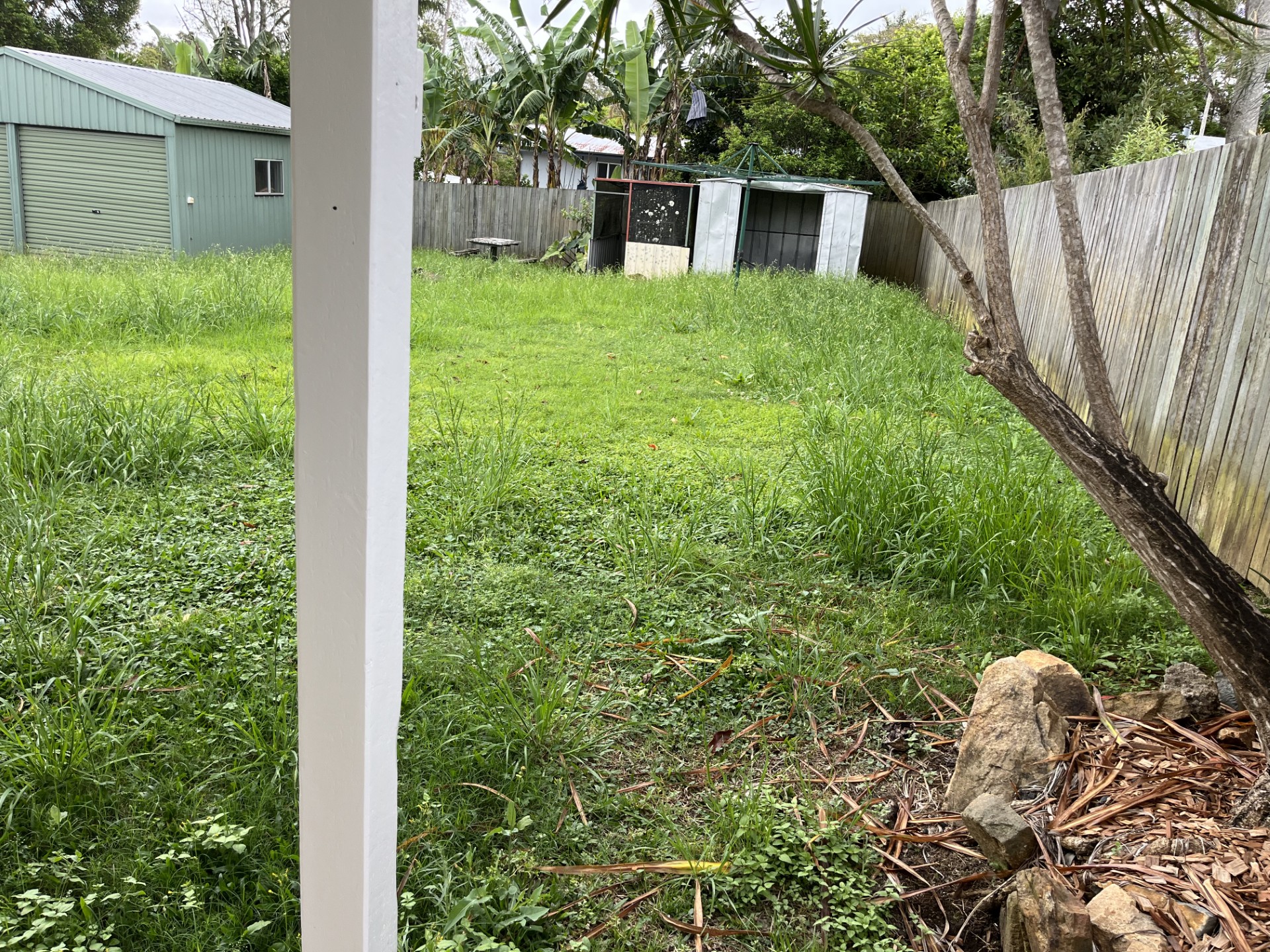 Residential Lawn Care: Overgrown backyard mow — before
