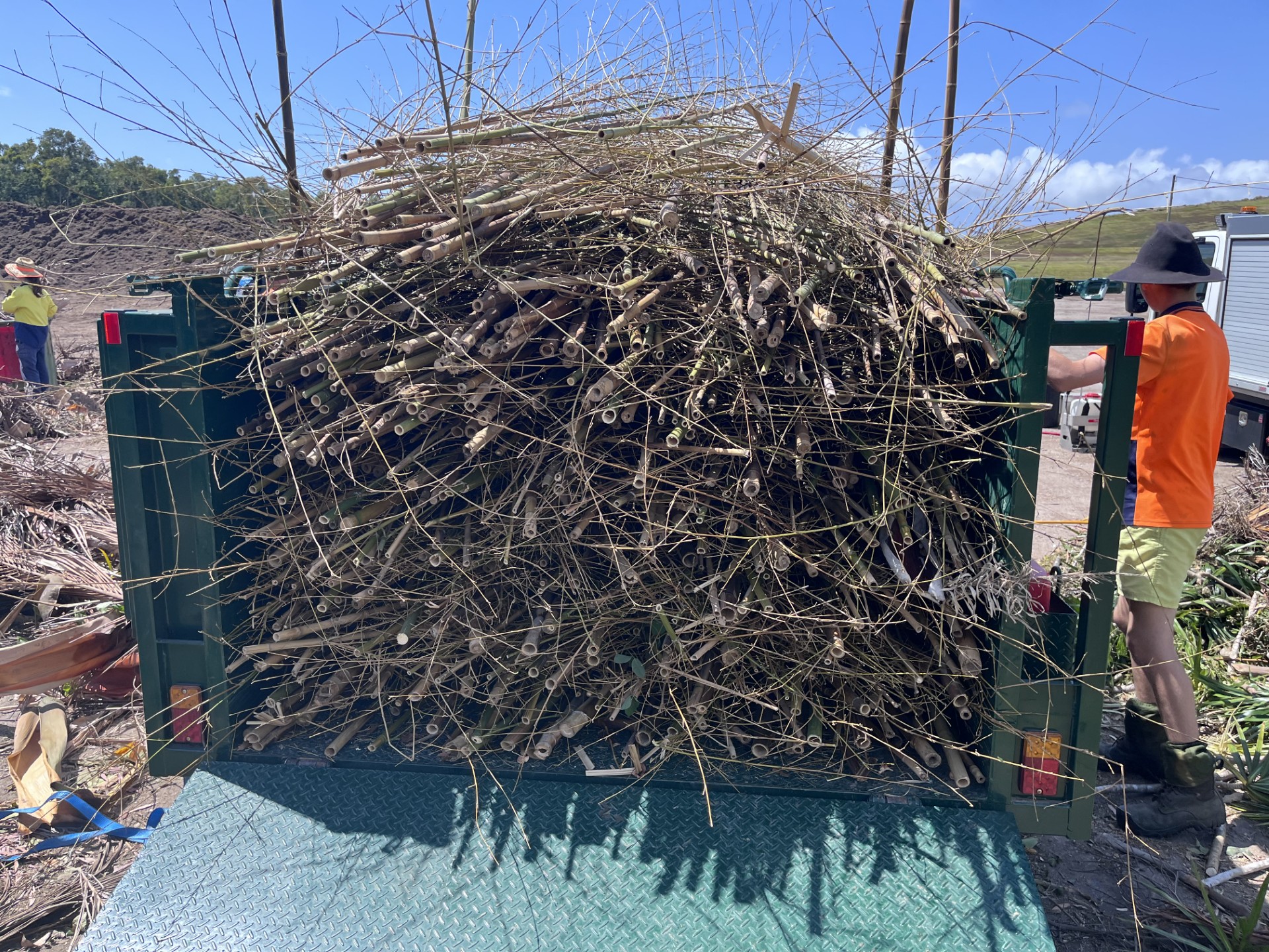 Rubbish and Green Waste Removal: Bamboo and green waste removal — after