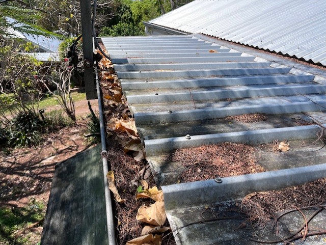 Gutter Cleaning: Cleaning leaf debris from a house — before