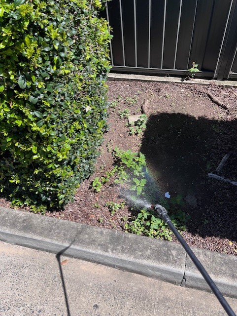 Weed Control and Fertilising