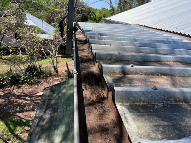 Gutter Cleaning: Cleaning leaf debris from a house — after