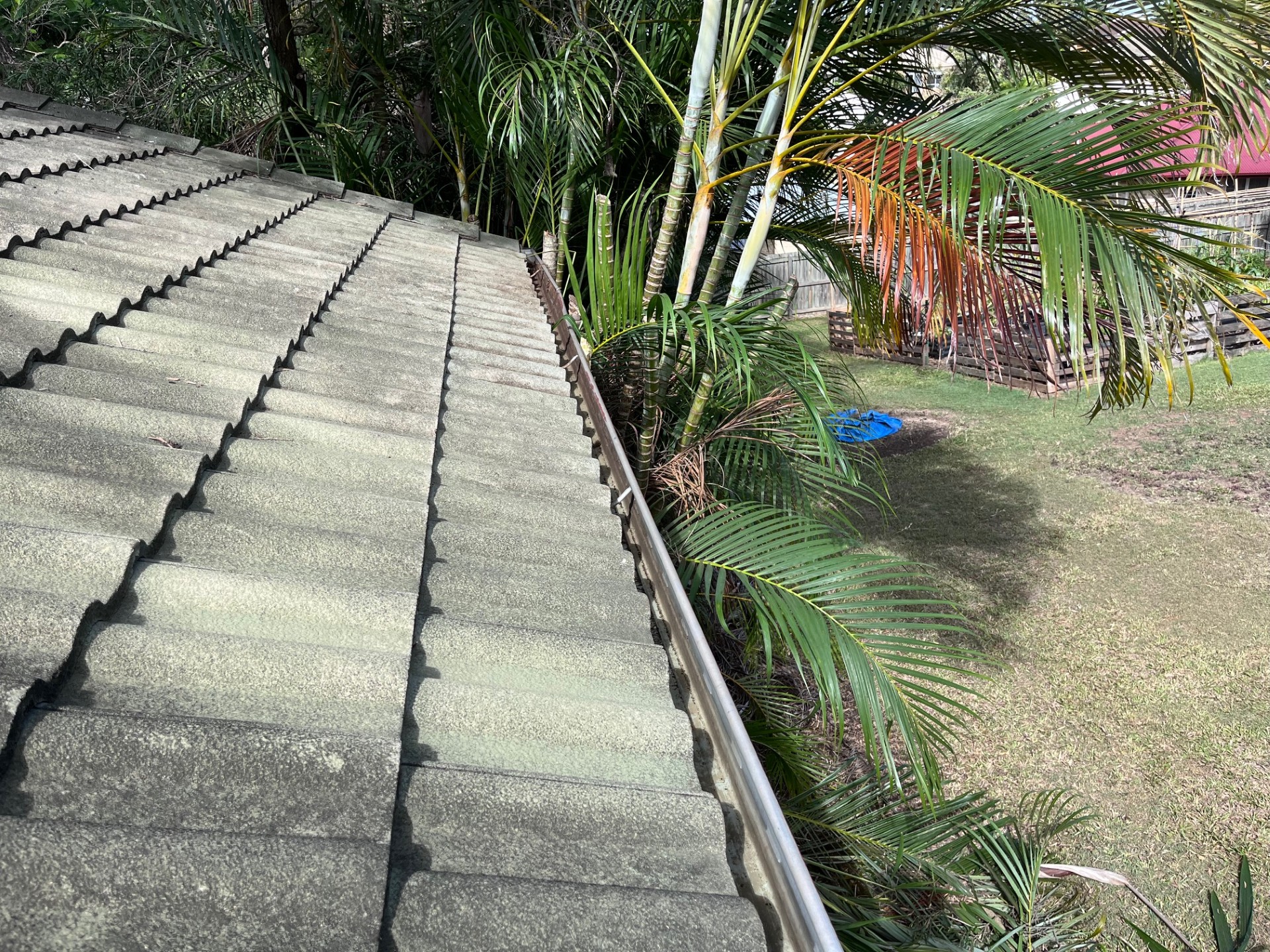 Gutter Cleaning: Clearing palms and debris from gutters — after