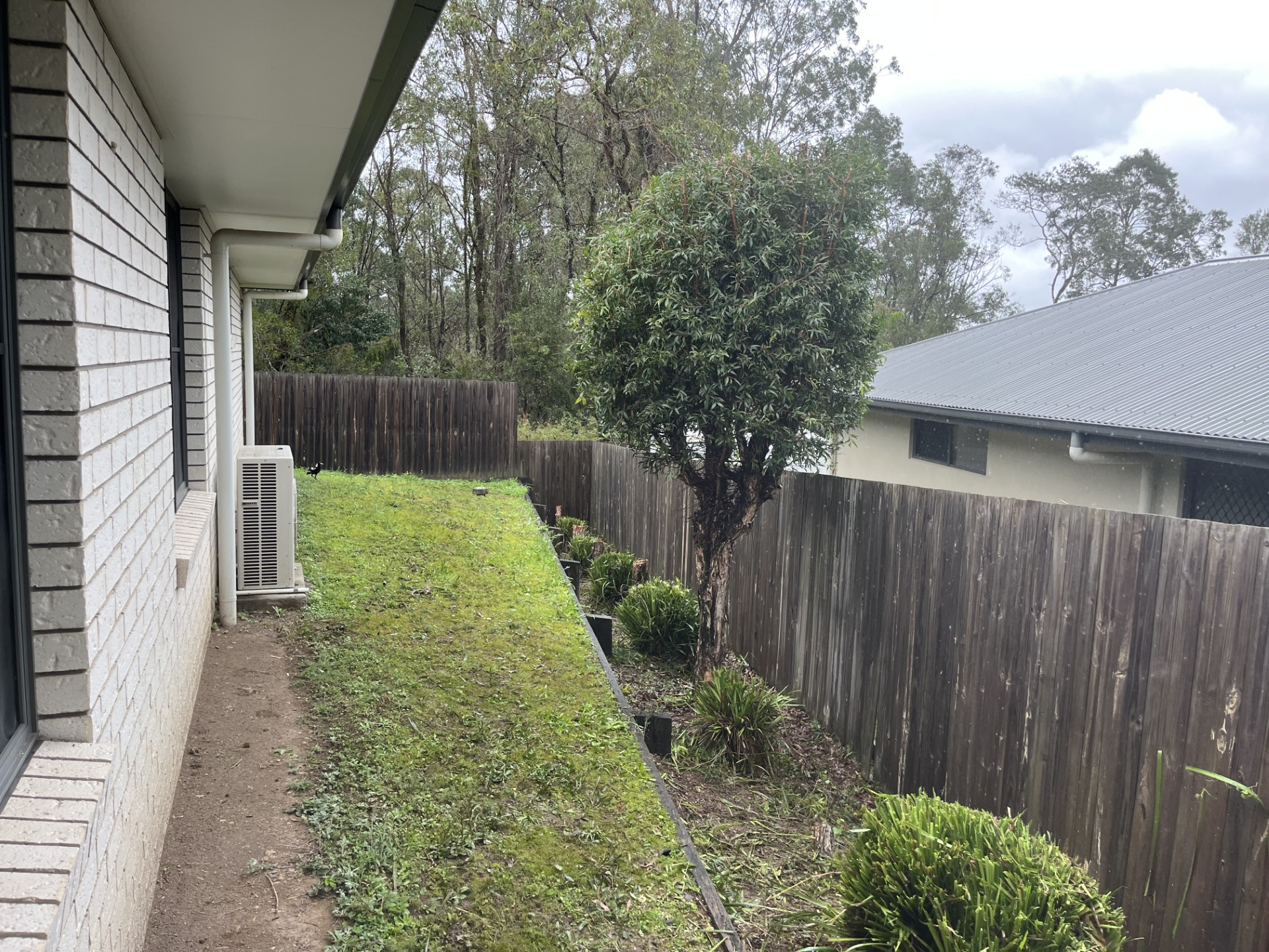 Hedging and Shrub Trimming: Plant Reduction — after