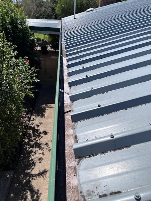 Gutter Cleaning