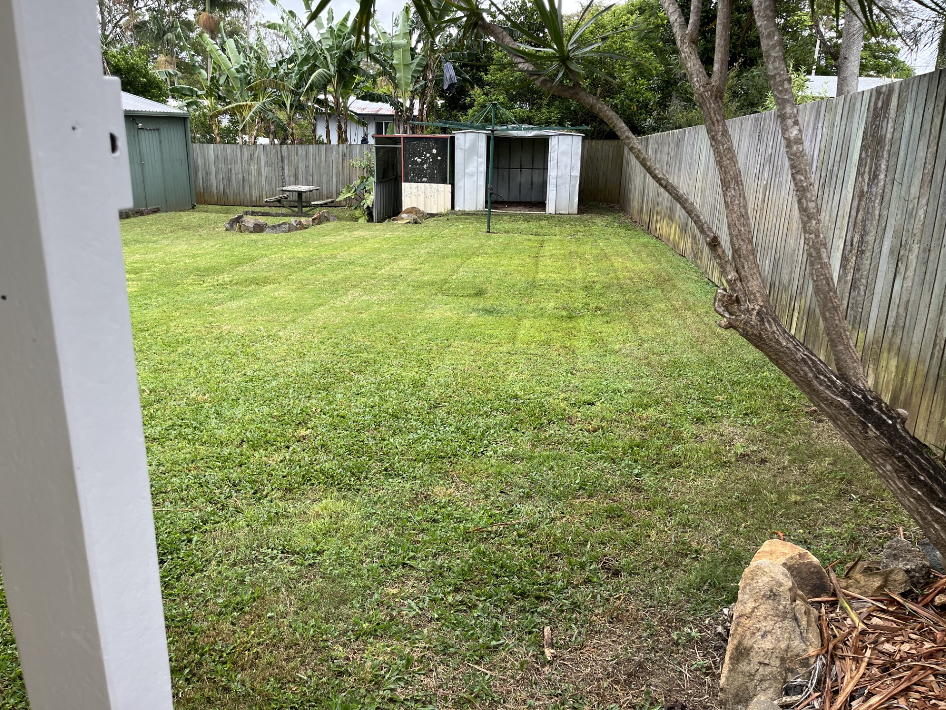 Residential Lawn Care: Overgrown backyard mow — after