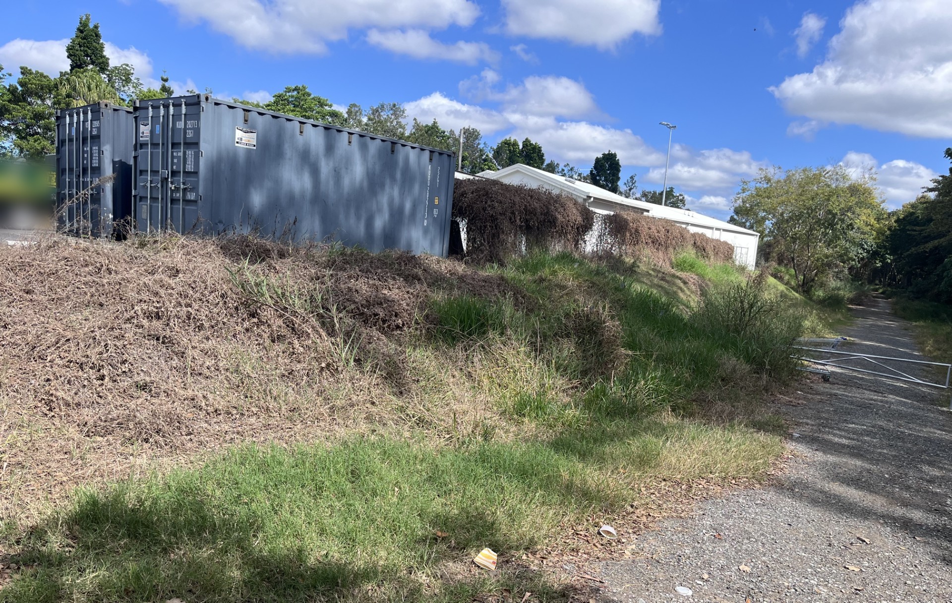 Acreage Property Maintenance: Brush cutting overgrown steep batter — before