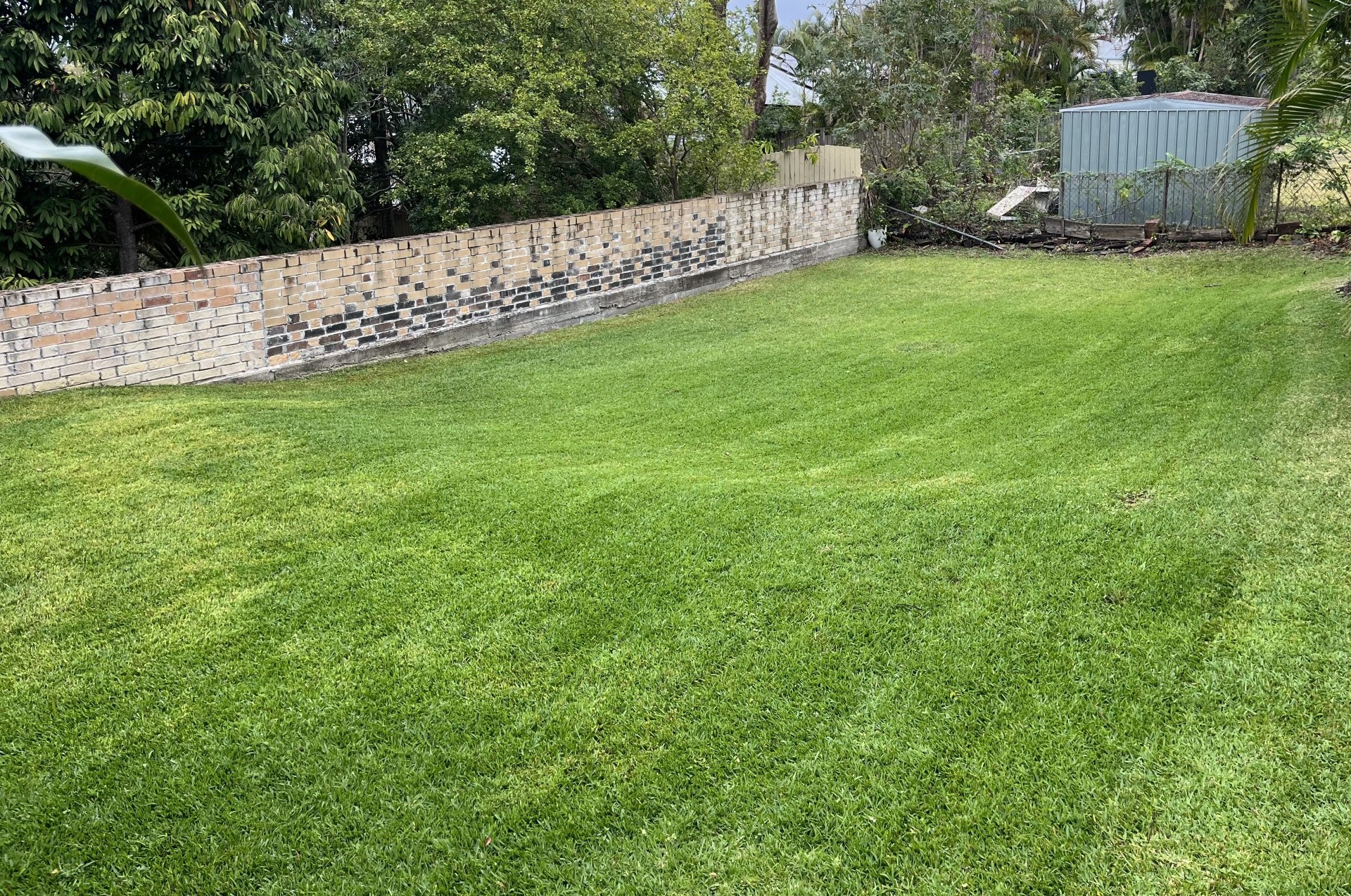 Residential Lawn Care: Backyard refresh — after