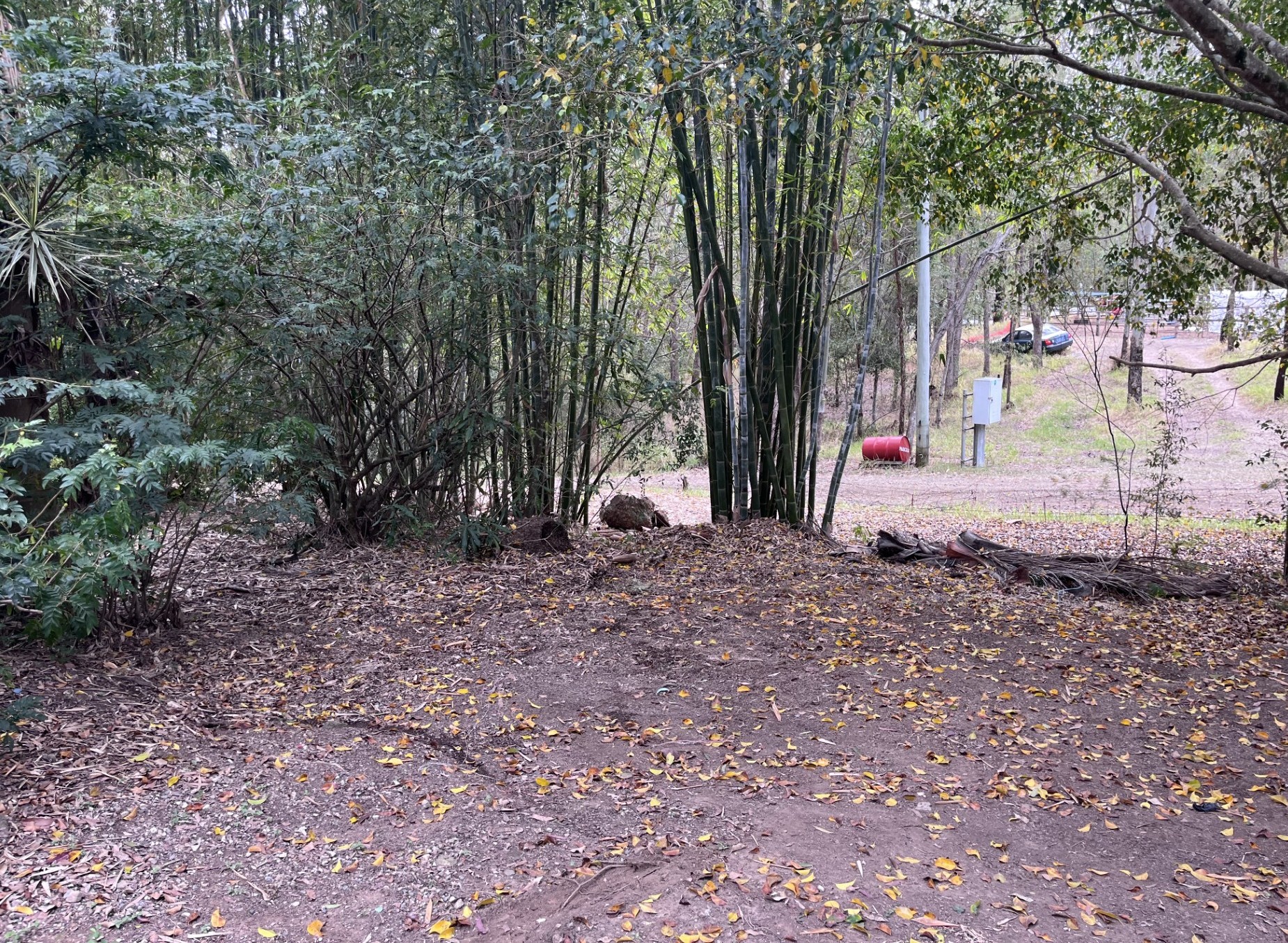 Rubbish and Green Waste Removal: Yard rubbish and old trampoline removal — after