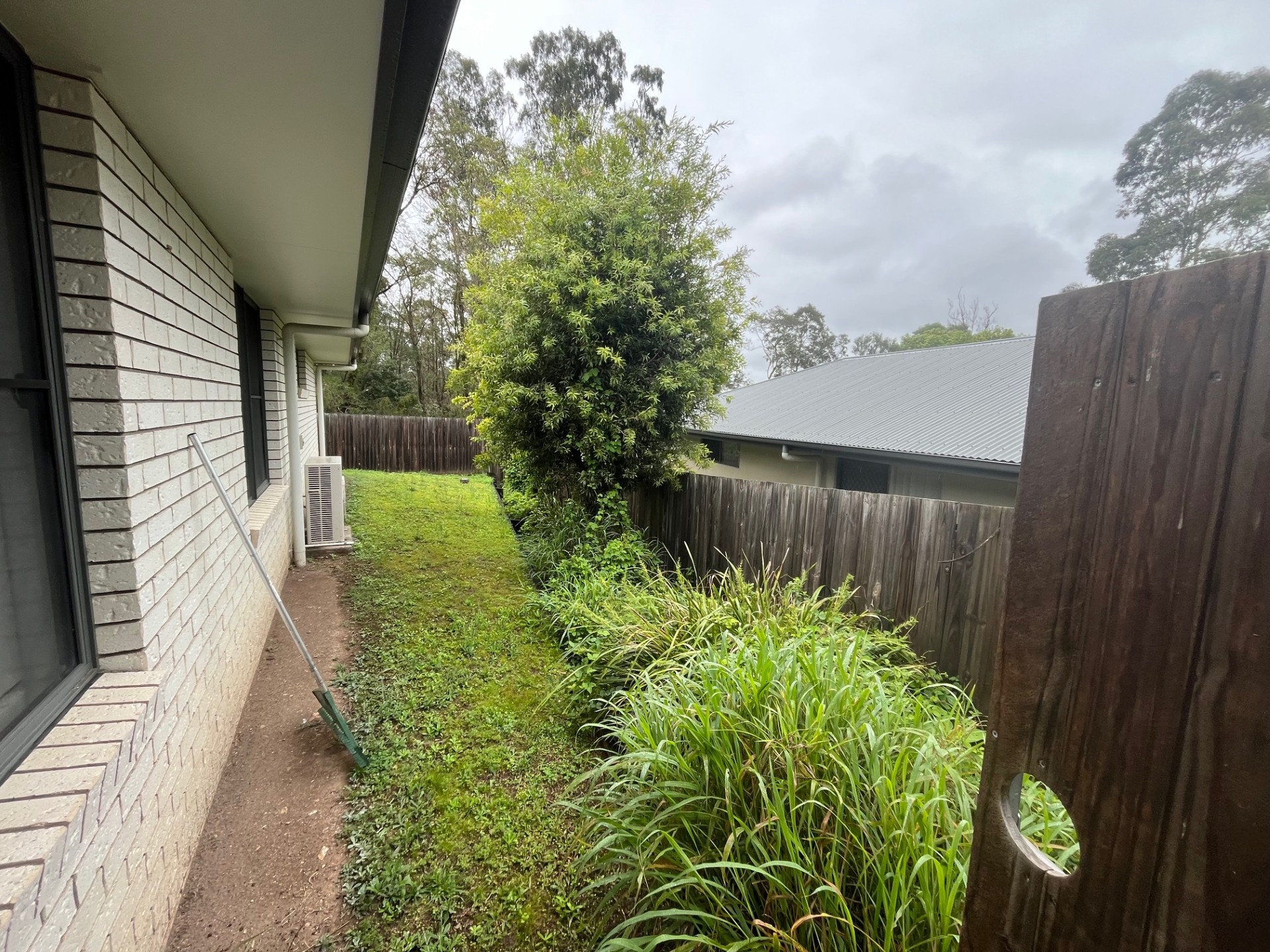 Hedging and Shrub Trimming: Plant Reduction — before