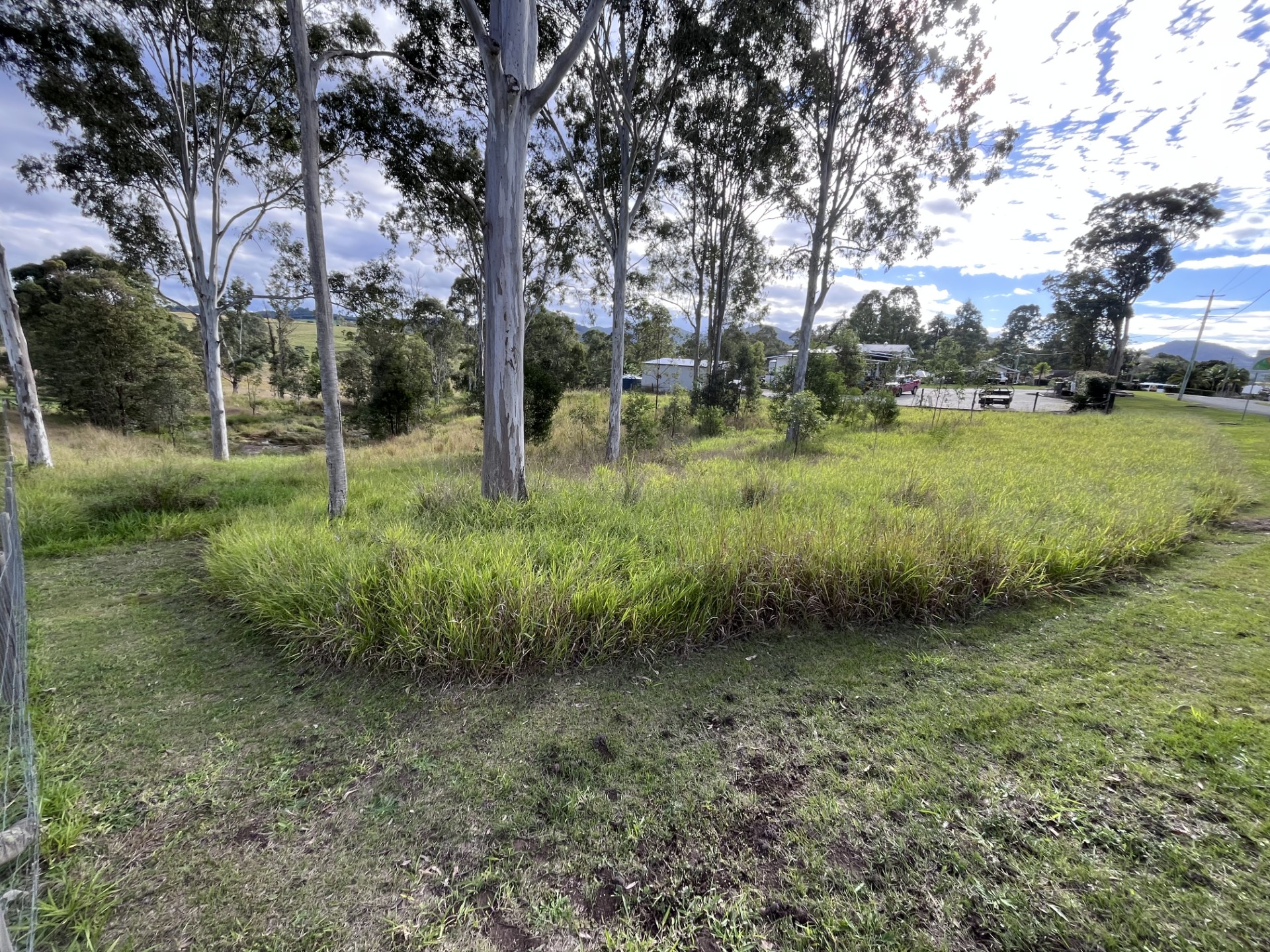 Acreage Property Maintenance: Paddock reset — before
